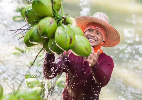 All About Harmless Harvest: A Comprehensive Look at the Benefits and Nutritional Value of Coconut Water